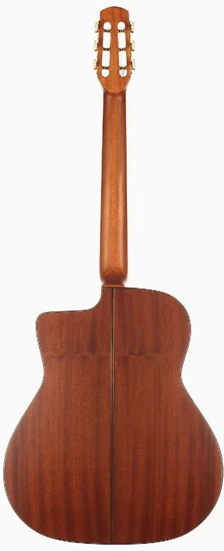 Altamira Manouche M10D Ant En + Etui, vue 2, vue 2
