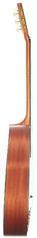 Altamira Manouche M10D Ant En + Etui, vue 3, vue 3