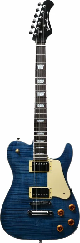 Bacchus Global Baron-FM, vue 2, vue 2