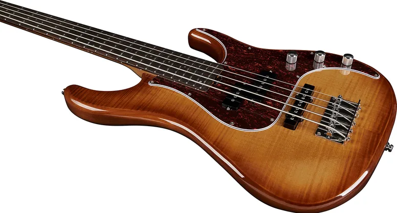 Eko Aire 800-5 Musa Bass Honey Burst - 5 cordes, vue 3, vue 3