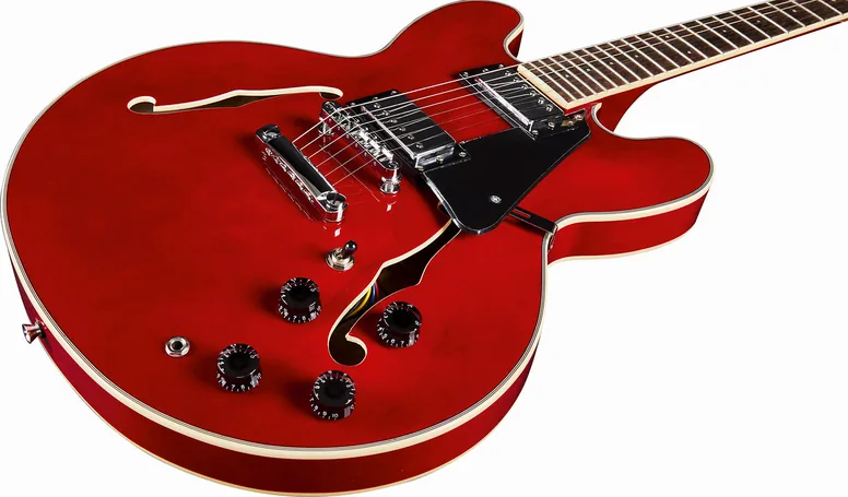 Eko Fusion hollowbody double cut, vue 4, vue 4