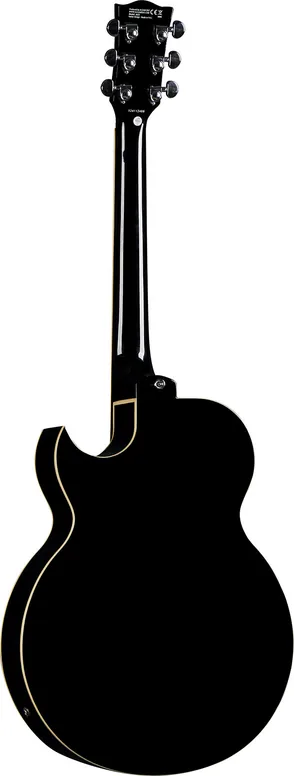 Eko Jazz hollowbody single cut, vue 2, vue 2