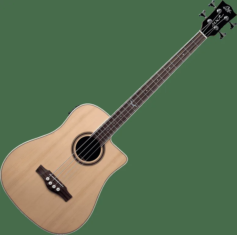 Eko NXT B100CE Dreadnought, vue 2, vue 2