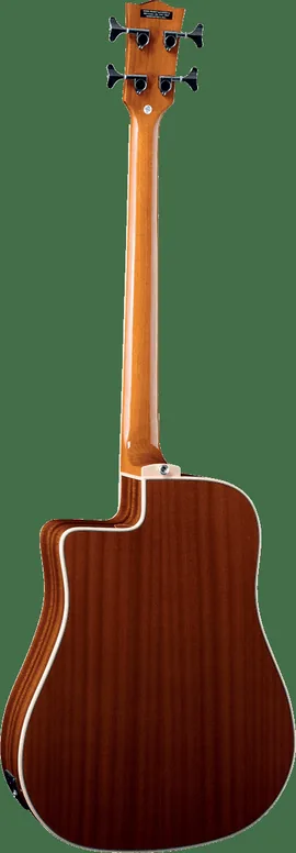 Eko NXT B100CE Dreadnought, vue 4, vue 4