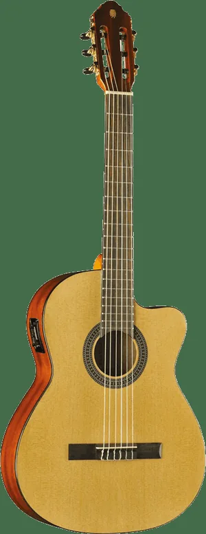 Eko Vibra 150 4/4 CW Natural, vue 3, vue 3