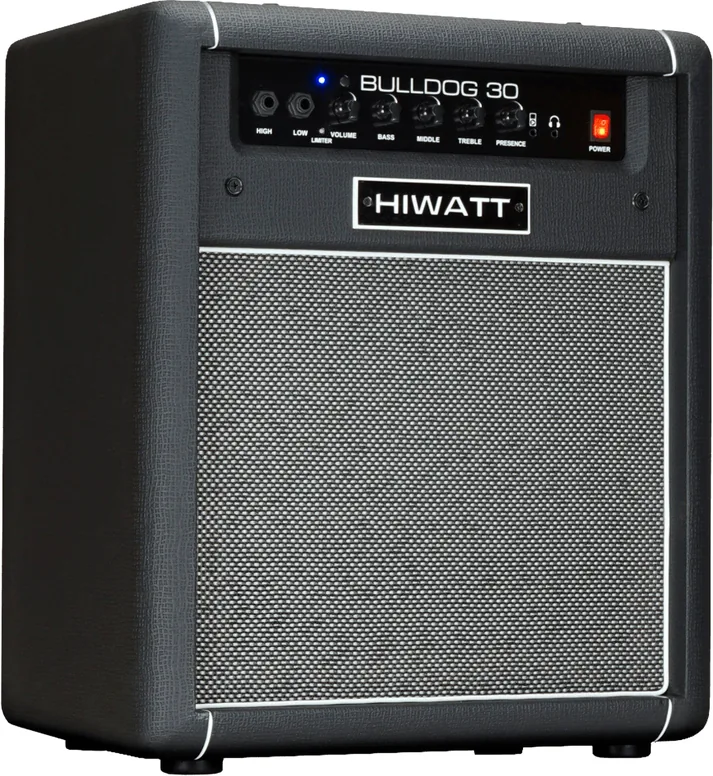 Hiwatt Bulldog 30C 10", vue 2, vue 2