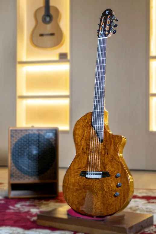Martinez Hispania Figured, vue 2, vue 2