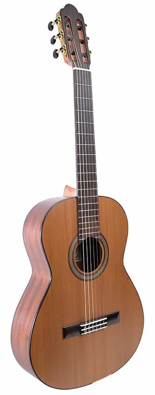 Martinez Torres 1/2 RN Acajou, vue 2, vue 2
