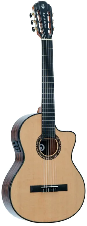 Pleyel P800CE Expression + Housse, vue 2, vue 2