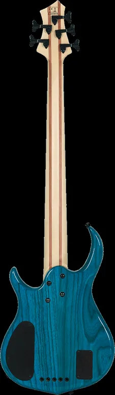 Sire M5 Swamp ASH-5 Tbl En, vue 2, vue 2