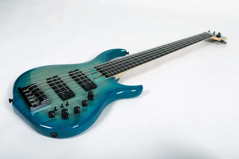 Sire M5 Swamp ASH-5 Tbl En, vue 4, vue 4
