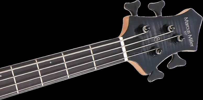 Sire M7 Swamp ASH-4 Tbk En, vue 4, vue 4
